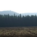 애월다래네 이미지