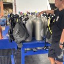 엔젤클럽 | [마나도] 여행후기 (5) 마나도 다이브 클럽 1일차 3탱크 스쿠버 다이빙 가격 내돈내산 솔직후기