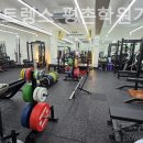 소녀스트렝스 이미지