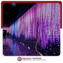 [옥정]1인미디어유튜브크리에이터 | 영상 미디어학과, 결정한 대학이 취업까지 이어질까?