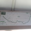 면목2동 KT중랑지사앞 | 1155 2212 1141 1142 1143 1144 1127 1128 141 120 121번 노선안내도