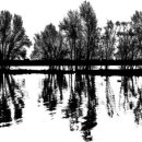 하나행정사 이미지