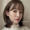 윈드헤어 이미지