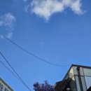 14 | 파이널 판타지14 카페 크리스타리움 후기