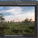(초보자를 위한) 포토샵 AI 이미지 편집 이미지