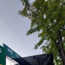 천호대로 213길 이미지