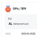 올뎃헤어(All that ha | 토종한국인이 이틀만에 독학으로 첫 오픽 AL 등급 딴 후기 +꿀팁, 2025 질문 및 스크립트 공유