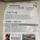 천년초효능 금당천년초농원 천년초 열매 즙 엑기스