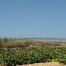 이팝농장 이미지