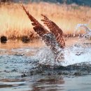 백암 5교 이미지