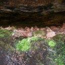 대전리약수터 이미지