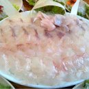 땅끝횟집 이미지