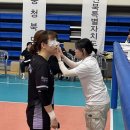 부산 전국장애인체전 골볼, 벌새처럼 날아오른 특수학교 선생님들 이미지