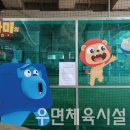 우면체육시설 이미지