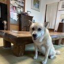 함양산촌 이미지