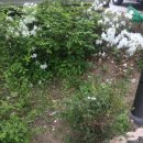 (주)지에스리테일 이미지