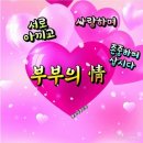 부부정