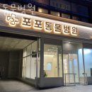 포포동물병원 | 성북구 보문동 동물병원 포포동물병원 진료시간 접근성 이용후기