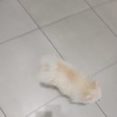 해랑동물병원 이미지