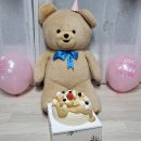 [모아모아] 일상 기록 (5) - 석고방향제/시루꽃피당/17cm초밥/사과공구/설선물/고양이🐱