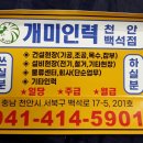 개미인력천안