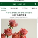 어니스트시크릿