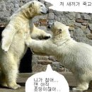 복 - 광명시 광명로 842 | 복