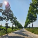 대부바다향기 테마파크 이미지