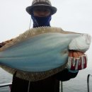 안면도바다처럼 이미지