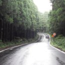 올레리조트 이미지