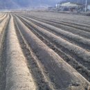 광전농장 이미지