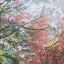 아름답기로 소문난 고창읍성과 문수사를 지나 장성 편백나무 숲을 거닐다.(11월 4일 토) 이미지