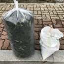 홍성떡방앗간 이미지