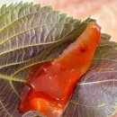 선산대로10-19 | 구미포장맛집 구미횟집 남경수산 지산 본점, 착한 가격 신선한 광어회 모듬회