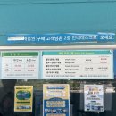 [경남/거제도] 씨월드 벨루가 공연 자리 꿀팁 내돈내산 후기
