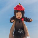 하르방 - 김포시 조강로 85-1 | 부산 누보스튜디오 : 해녀 돌상 스냅, 동백하르방 촬영 후기