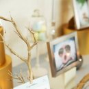 비비호텔 이미지