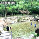 포레스트벨리캠프 이미지