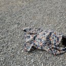 몽산포오토캠핑장 이미지