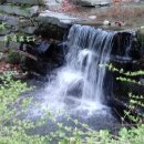 for you부동산공인중개사사무소 이미지