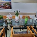 (주)성서현대정비센터 이미지