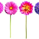 서초리슈빌S글로벌 이미지