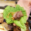 팔미돈가 이미지