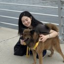 전진농장4 이미지