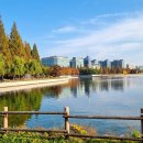 호수공원 이미지