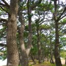 지리해수욕장 이미지