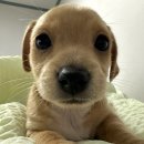 다들 행복하세요