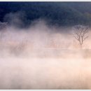 호수의아침 이미지