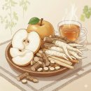 에스더중기 | 약사추천]감기회복 약용식물, 3가지 원리를 담았어요.[가뿐한 베이스 플러스]