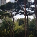 갤럭시공인중개사사무소 이미지